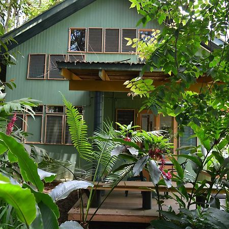 Rainforest Eco Lodge Suva Eksteriør billede