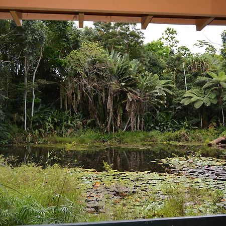 Rainforest Eco Lodge Suva Eksteriør billede