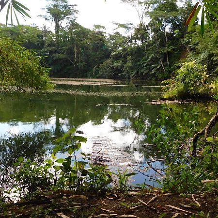 Rainforest Eco Lodge Suva Eksteriør billede