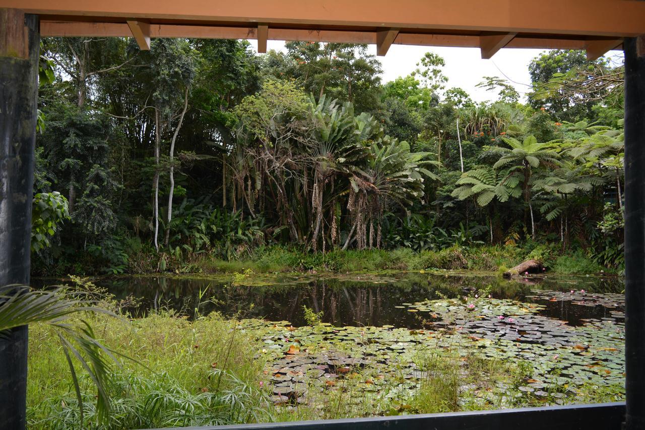 Rainforest Eco Lodge Suva Eksteriør billede