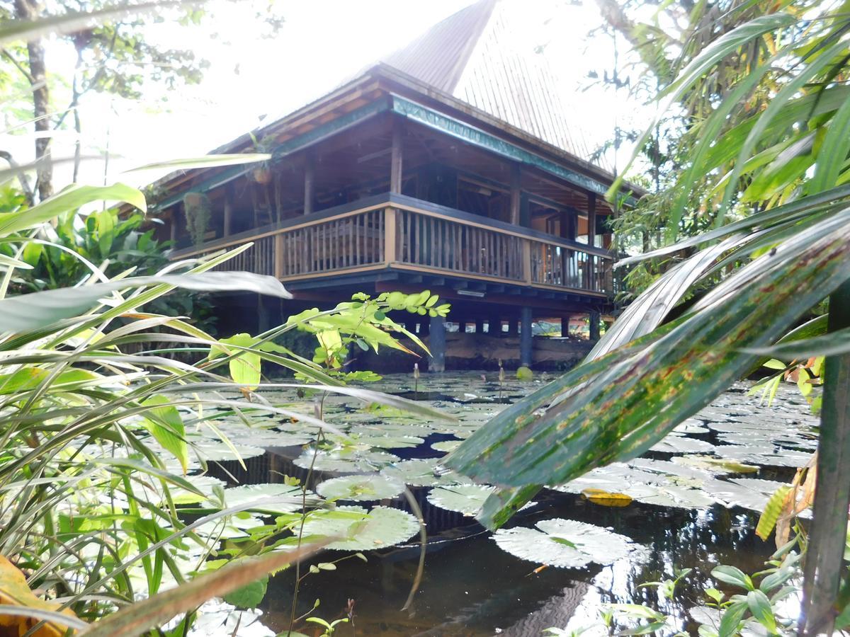 Rainforest Eco Lodge Suva Eksteriør billede