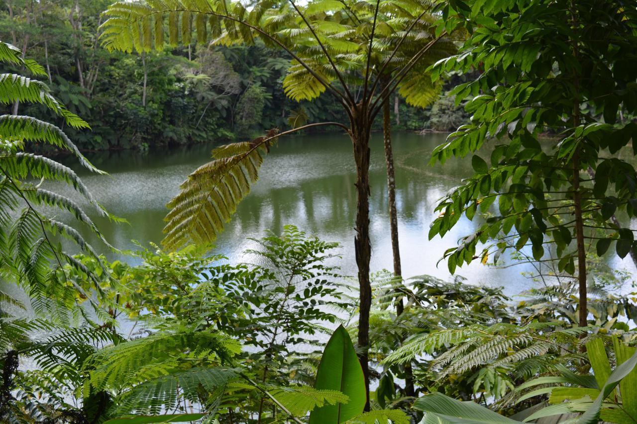 Rainforest Eco Lodge Suva Eksteriør billede