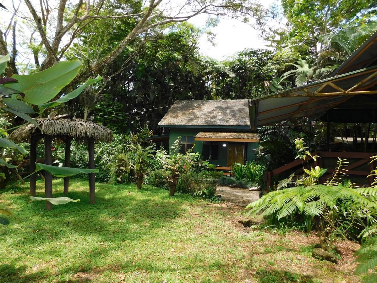 Rainforest Eco Lodge Suva Eksteriør billede