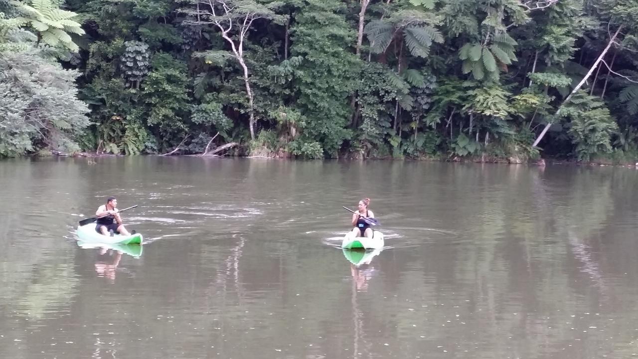 Rainforest Eco Lodge Suva Eksteriør billede