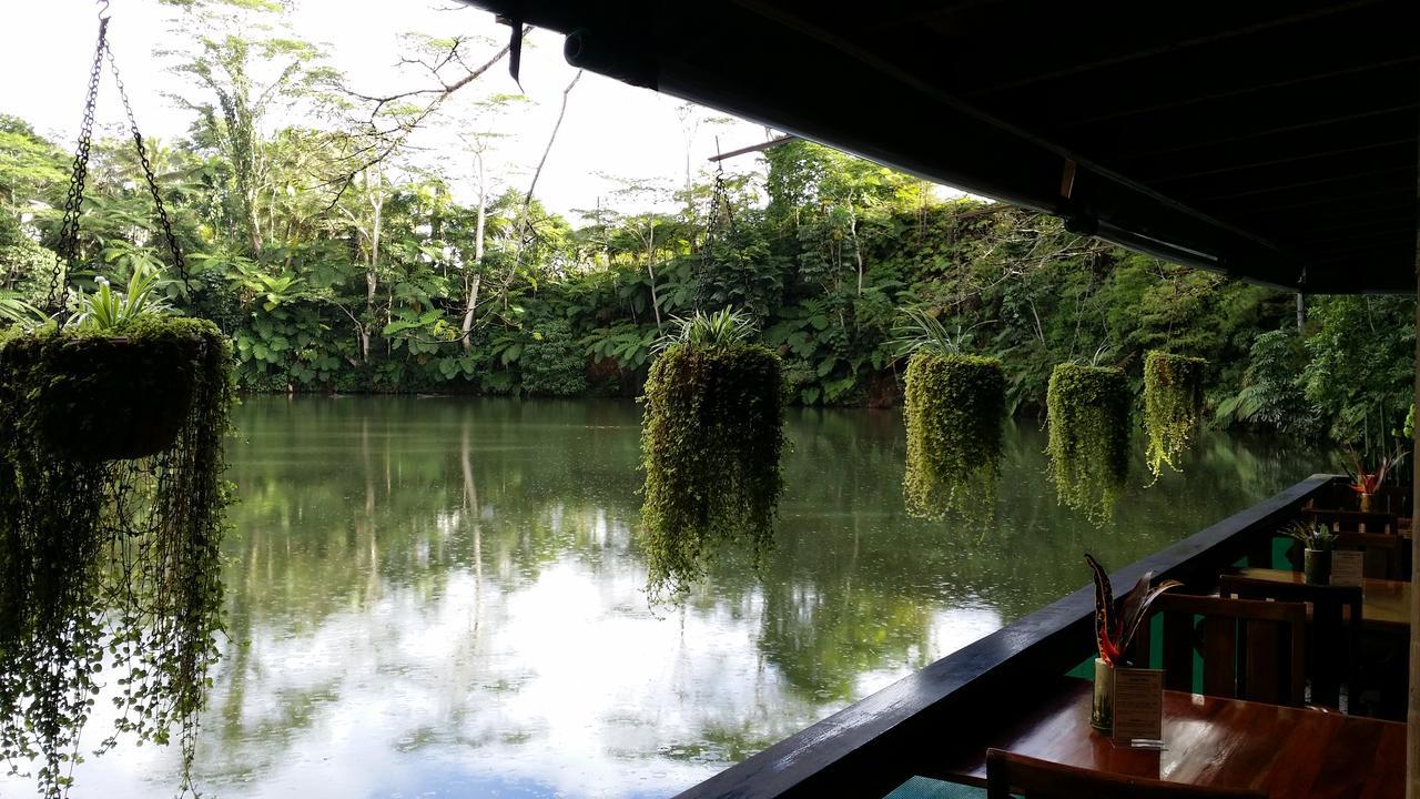 Rainforest Eco Lodge Suva Eksteriør billede