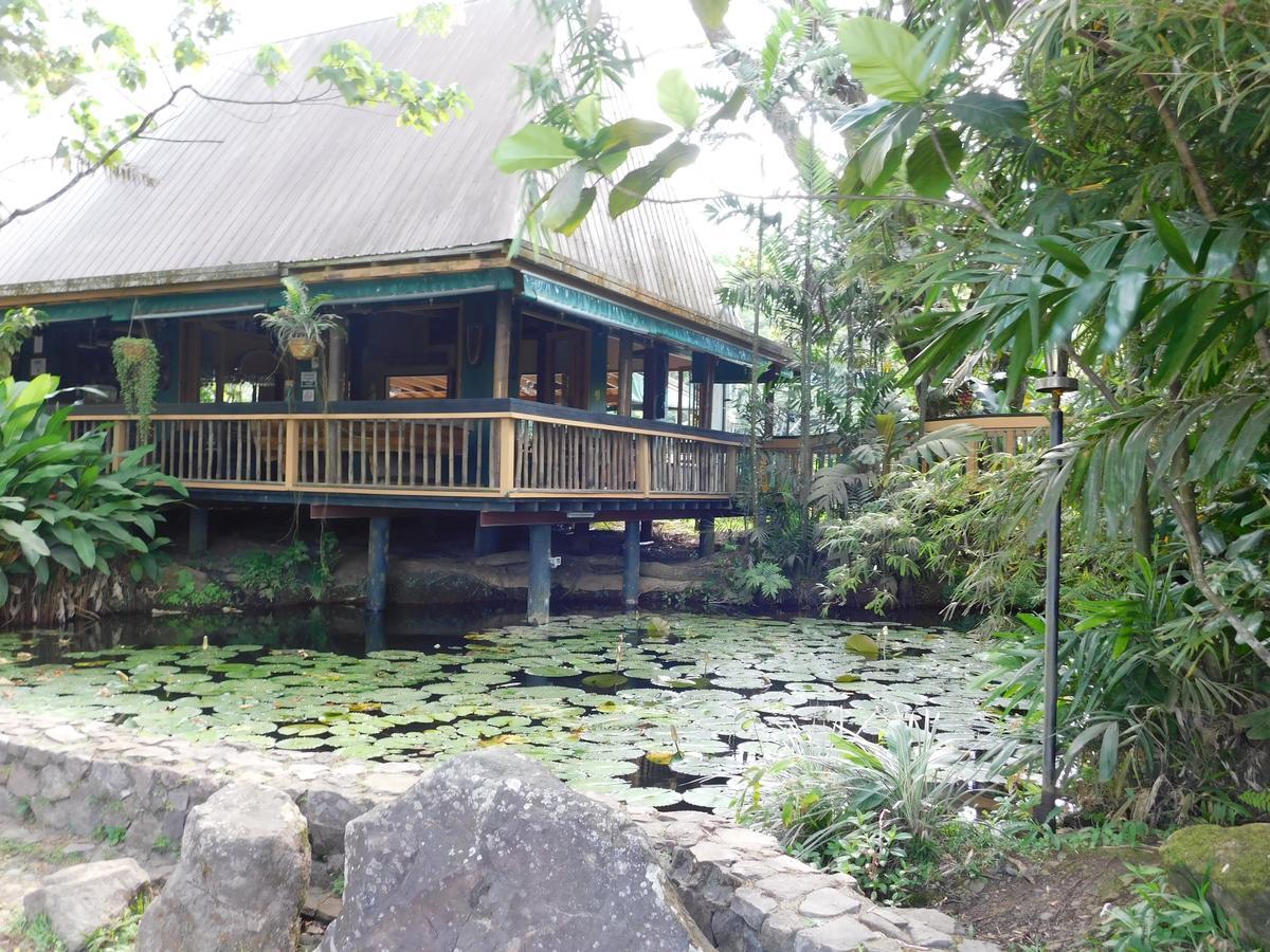 Rainforest Eco Lodge Suva Eksteriør billede