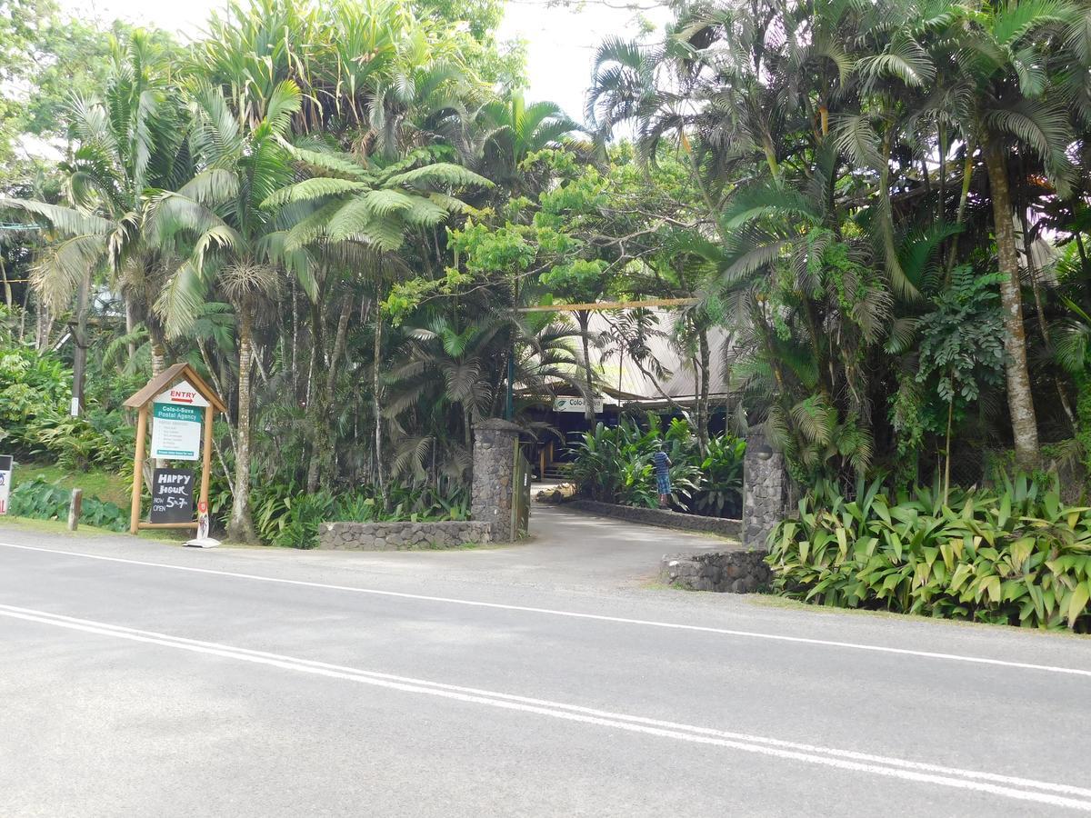 Rainforest Eco Lodge Suva Eksteriør billede