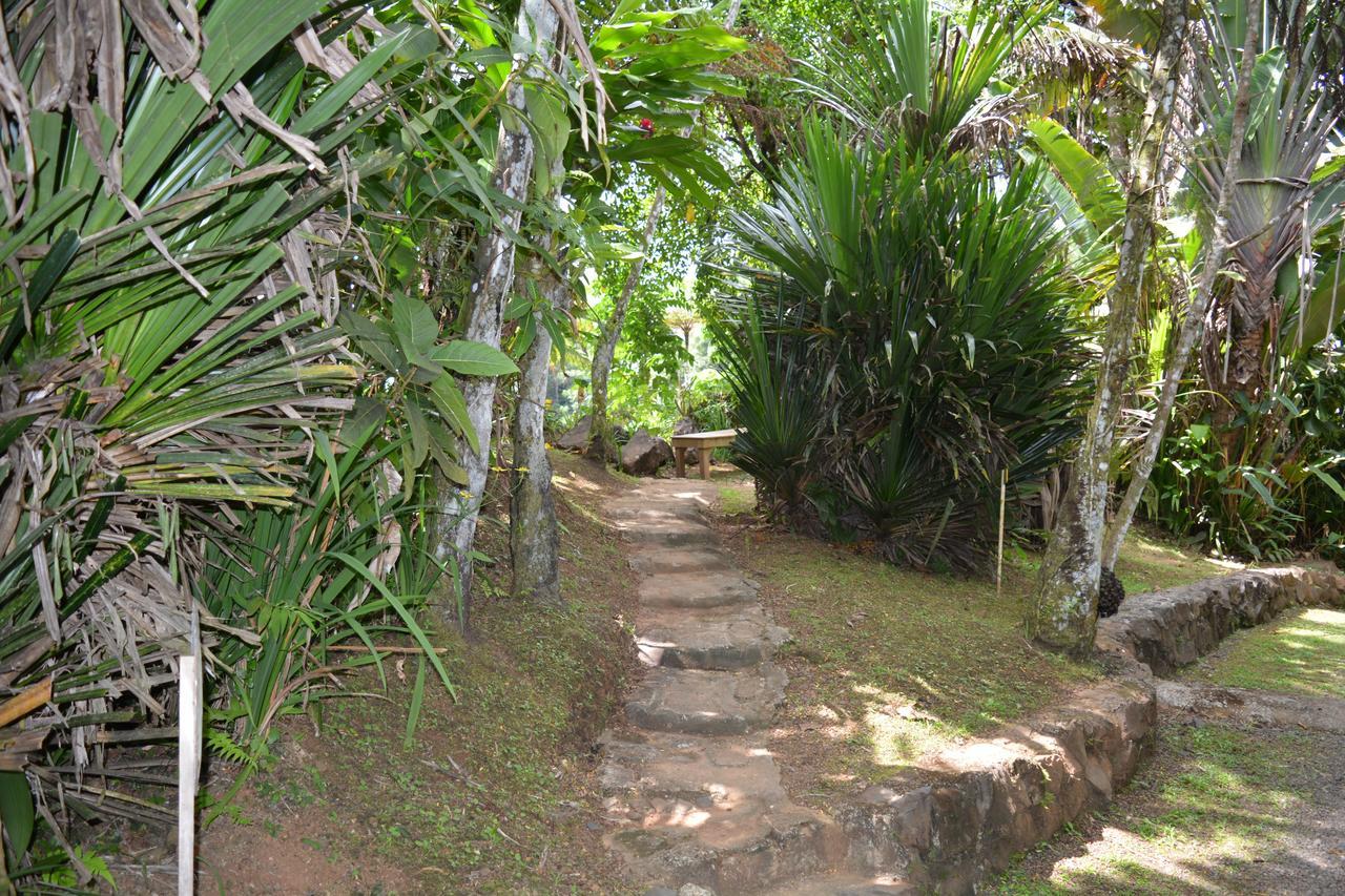 Rainforest Eco Lodge Suva Eksteriør billede