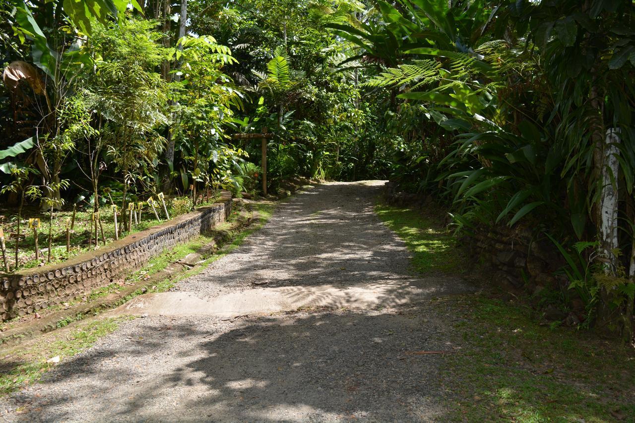 Rainforest Eco Lodge Suva Eksteriør billede