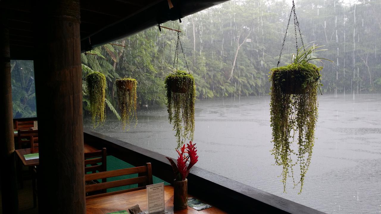 Rainforest Eco Lodge Suva Eksteriør billede