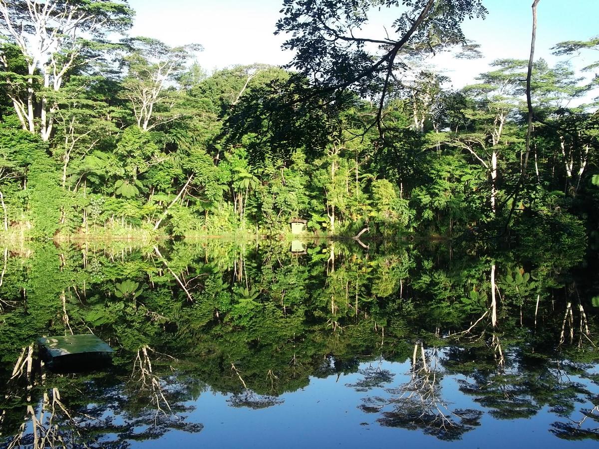 Rainforest Eco Lodge Suva Eksteriør billede