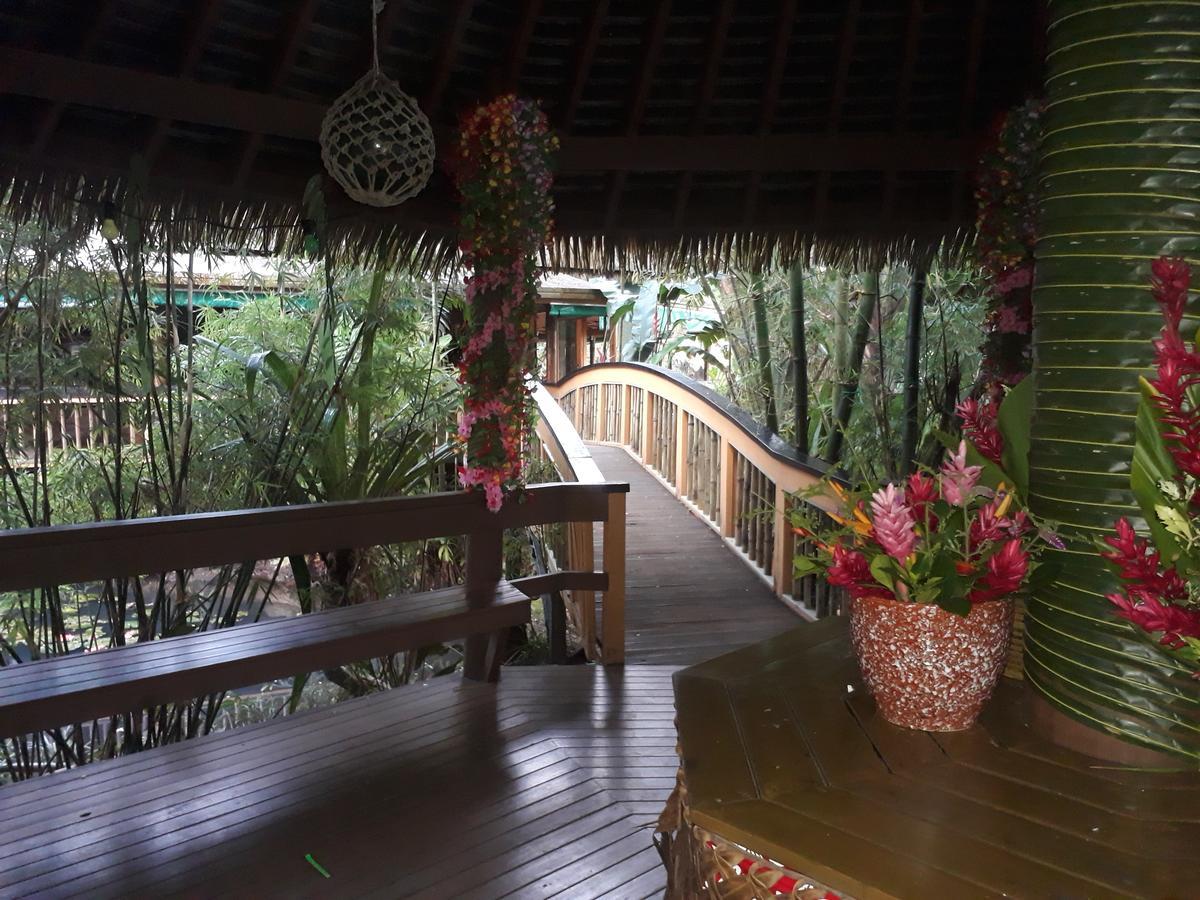 Rainforest Eco Lodge Suva Eksteriør billede