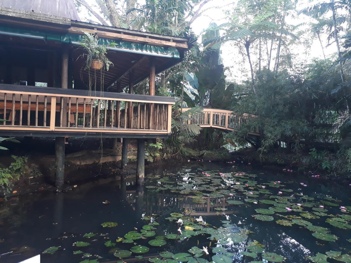 Rainforest Eco Lodge Suva Eksteriør billede