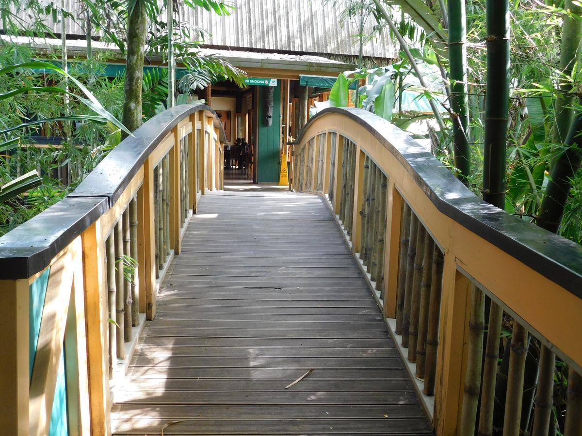 Rainforest Eco Lodge Suva Eksteriør billede